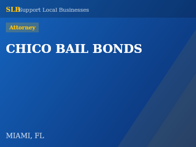 CHICO BAIL BONDS — Attorney in MIAMI, FL