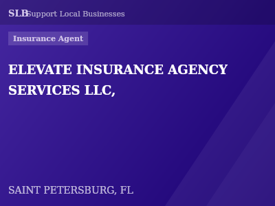 ELEVATE INSURANCE AGENCY SERVICES LLC, — Insurance Agent in SAINT PETERSBURG, FL