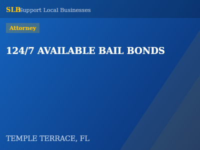124/7 AVAILABLE BAIL BONDS — Attorney in TEMPLE TERRACE, FL