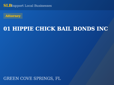 01 HIPPIE CHICK BAIL BONDS INC — Attorney in GREEN COVE SPRINGS, FL