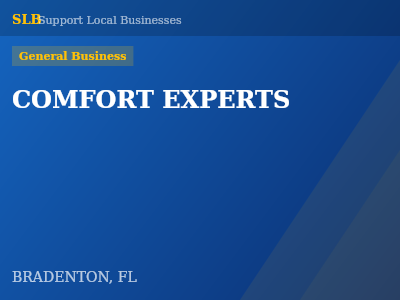 COMFORT EXPERTS — General Business in BRADENTON, FL