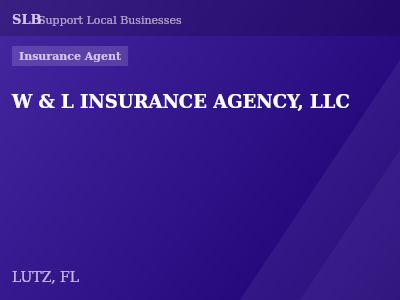 W & L INSURANCE AGENCY, LLC — Insurance Agent in LUTZ, FL