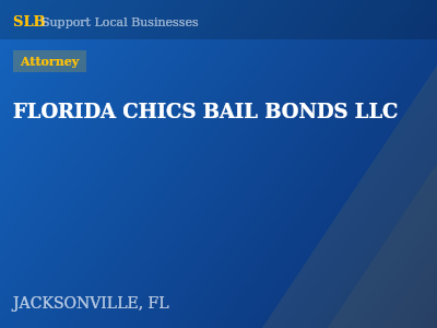 FLORIDA CHICS BAIL BONDS LLC — Attorney in JACKSONVILLE, FL