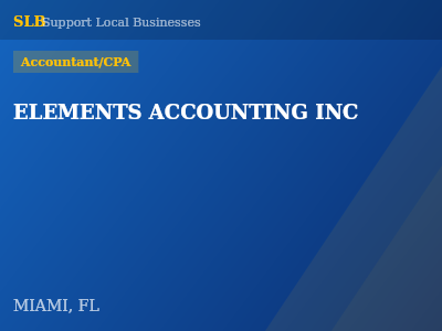 ELEMENTS ACCOUNTING INC — Accountant/CPA in MIAMI, FL