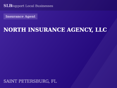 NORTH INSURANCE AGENCY, LLC — Insurance Agent in SAINT PETERSBURG, FL