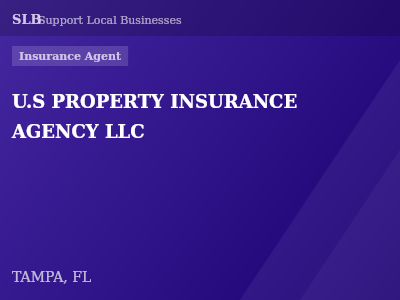 U.S PROPERTY INSURANCE AGENCY LLC — Insurance Agent in TAMPA, FL
