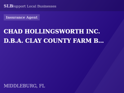 CHAD HOLLINGSWORTH INC. D.B.A. CLAY COUNTY FARM BUREAU INSURANCE — Insurance Agent in MIDDLEBURG, FL