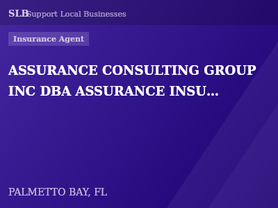 ASSURANCE CONSULTING GROUP INC DBA ASSURANCE INSURANCE AGENCY — Insurance Agent in PALMETTO BAY, FL