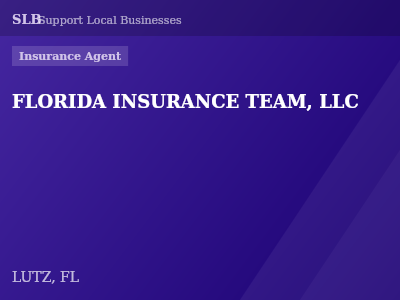 FLORIDA INSURANCE TEAM, LLC — Insurance Agent in LUTZ, FL