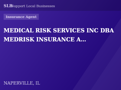 MEDICAL RISK SERVICES INC DBA MEDRISK INSURANCE AGENCY — Insurance Agent in NAPERVILLE, IL