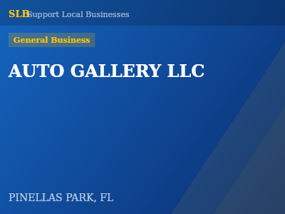 AUTO GALLERY LLC — General Business in PINELLAS PARK, FL
