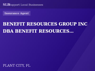 BENEFIT RESOURCES GROUP INC DBA BENEFIT RESOURCES GROUP INSURANCE — Insurance Agent in PLANT CITY, FL
