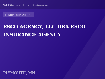 ESCO AGENCY, LLC DBA ESCO INSURANCE AGENCY — Insurance Agent in PLYMOUTH, MN