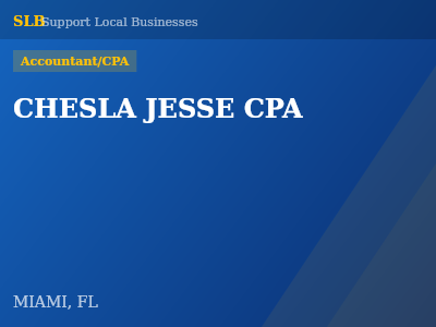 CHESLA JESSE CPA — Accountant/CPA in MIAMI, FL