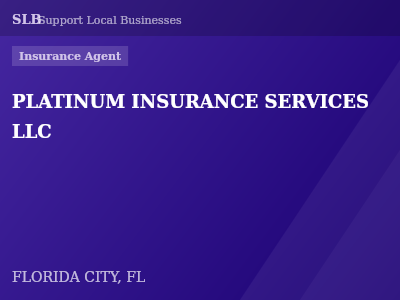 PLATINUM INSURANCE SERVICES LLC — Insurance Agent in FLORIDA CITY, FL