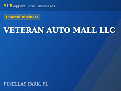 VETERAN AUTO MALL LLC — General Business in PINELLAS PARK, FL