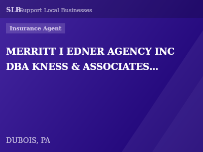 MERRITT I EDNER AGENCY INC DBA KNESS & ASSOCIATES INSURANCE & INVESTMENTS — Insurance Agent in DUBOIS, PA