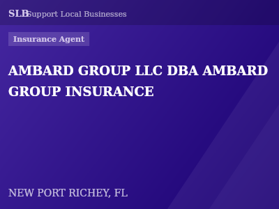AMBARD GROUP LLC DBA AMBARD GROUP INSURANCE — Insurance Agent in NEW PORT RICHEY, FL