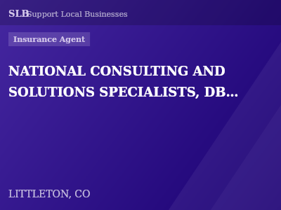 NATIONAL CONSULTING AND SOLUTIONS SPECIALISTS, DBA GOLDSMITH INSURANCE — Insurance Agent in LITTLETON, CO