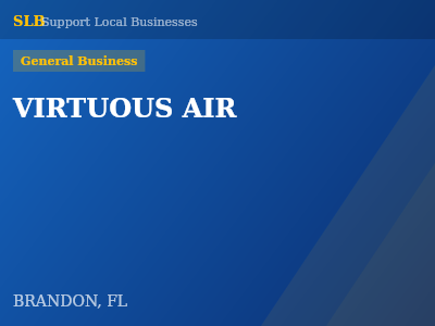 VIRTUOUS AIR — General Business in BRANDON, FL