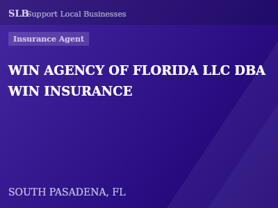 WIN AGENCY OF FLORIDA LLC DBA WIN INSURANCE — Insurance Agent in SOUTH PASADENA, FL