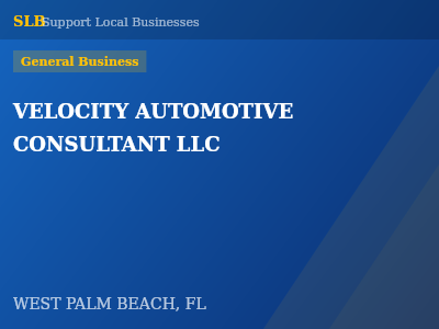 VELOCITY AUTOMOTIVE CONSULTANT LLC — General Business in WEST PALM BEACH, FL
