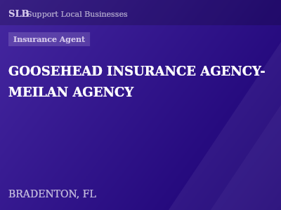 GOOSEHEAD INSURANCE AGENCY- MEILAN AGENCY — Insurance Agent in BRADENTON, FL