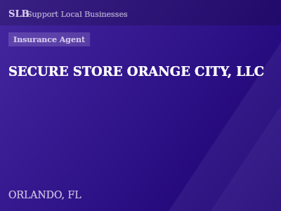 SECURE STORE ORANGE CITY, LLC — Insurance Agent in ORLANDO, FL