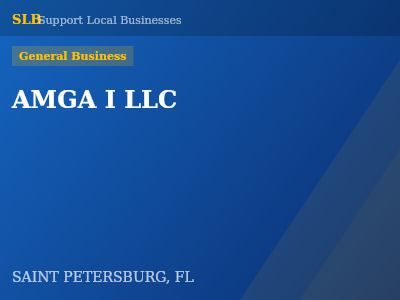 AMGA I LLC — General Business in SAINT PETERSBURG, FL