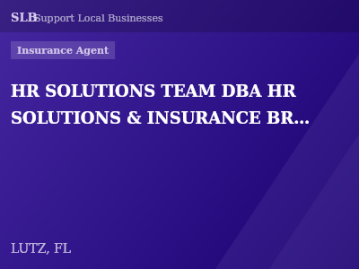 HR SOLUTIONS TEAM DBA HR SOLUTIONS & INSURANCE BROKERS — Insurance Agent in LUTZ, FL