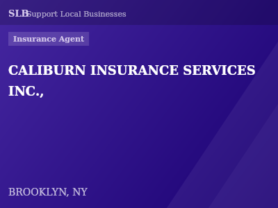 CALIBURN INSURANCE SERVICES INC., — Insurance Agent in BROOKLYN, NY