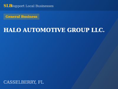 HALO AUTOMOTIVE GROUP LLC. — General Business in CASSELBERRY, FL