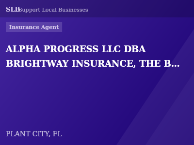 ALPHA PROGRESS LLC DBA BRIGHTWAY INSURANCE, THE BORGATTI AGENCY — Insurance Agent in PLANT CITY, FL