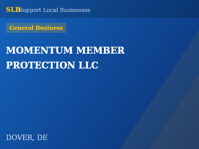 MOMENTUM MEMBER PROTECTION LLC — General Business in DOVER, DE