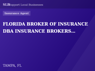 FLORIDA BROKER OF INSURANCE DBA INSURANCE BROKERS AGENCY — Insurance Agent in TAMPA, FL