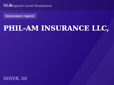 PHIL-AM INSURANCE LLC, — Insurance Agent in DOVER, DE
