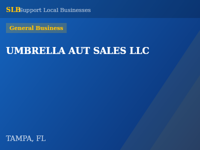 UMBRELLA AUT SALES LLC — General Business in TAMPA, FL
