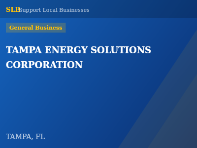 TAMPA ENERGY SOLUTIONS CORPORATION — General Business in TAMPA, FL