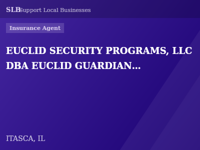 EUCLID SECURITY PROGRAMS, LLC DBA EUCLID GUARDIAN INSURANCE SERVICES — Insurance Agent in ITASCA, IL