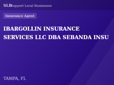 IBARGOLLIN INSURANCE SERVICES LLC DBA SEBANDA INSU — Insurance Agent in TAMPA, FL