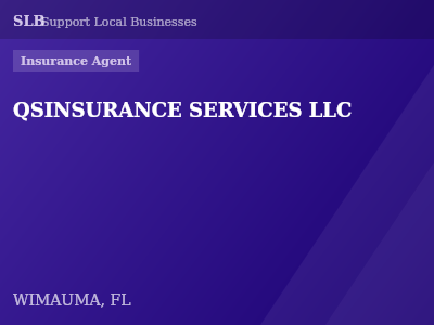 QSINSURANCE SERVICES LLC — Insurance Agent in WIMAUMA, FL