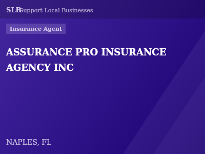 ASSURANCE PRO INSURANCE AGENCY INC — Insurance Agent in NAPLES, FL