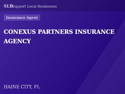 CONEXUS PARTNERS INSURANCE AGENCY — Insurance Agent in HAINE CITY, FL