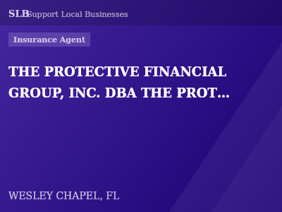 THE PROTECTIVE FINANCIAL GROUP, INC. DBA THE PROTECTIVE FINANCIAL AND INSURANCE GROUP — Insurance Agent in WESLEY CHAPEL, FL