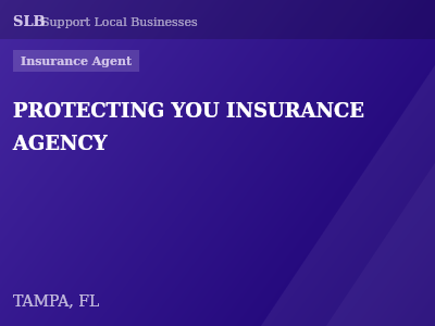PROTECTING YOU INSURANCE AGENCY — Insurance Agent in TAMPA, FL
