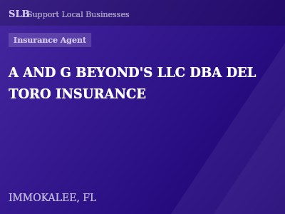 A AND G BEYOND'S LLC DBA DEL TORO INSURANCE — Insurance Agent in IMMOKALEE, FL