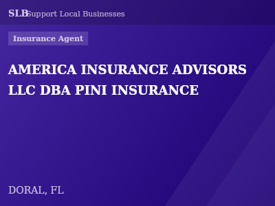 AMERICA INSURANCE ADVISORS LLC DBA PINI INSURANCE — Insurance Agent in DORAL, FL