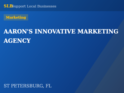 AARON'S INNOVATIVE MARKETING AGENCY — Marketing in ST PETERSBURG, FL
