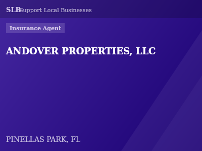 ANDOVER PROPERTIES, LLC — Insurance Agent in PINELLAS PARK, FL