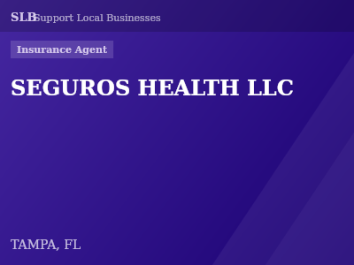 SEGUROS HEALTH LLC — Insurance Agent in TAMPA, FL